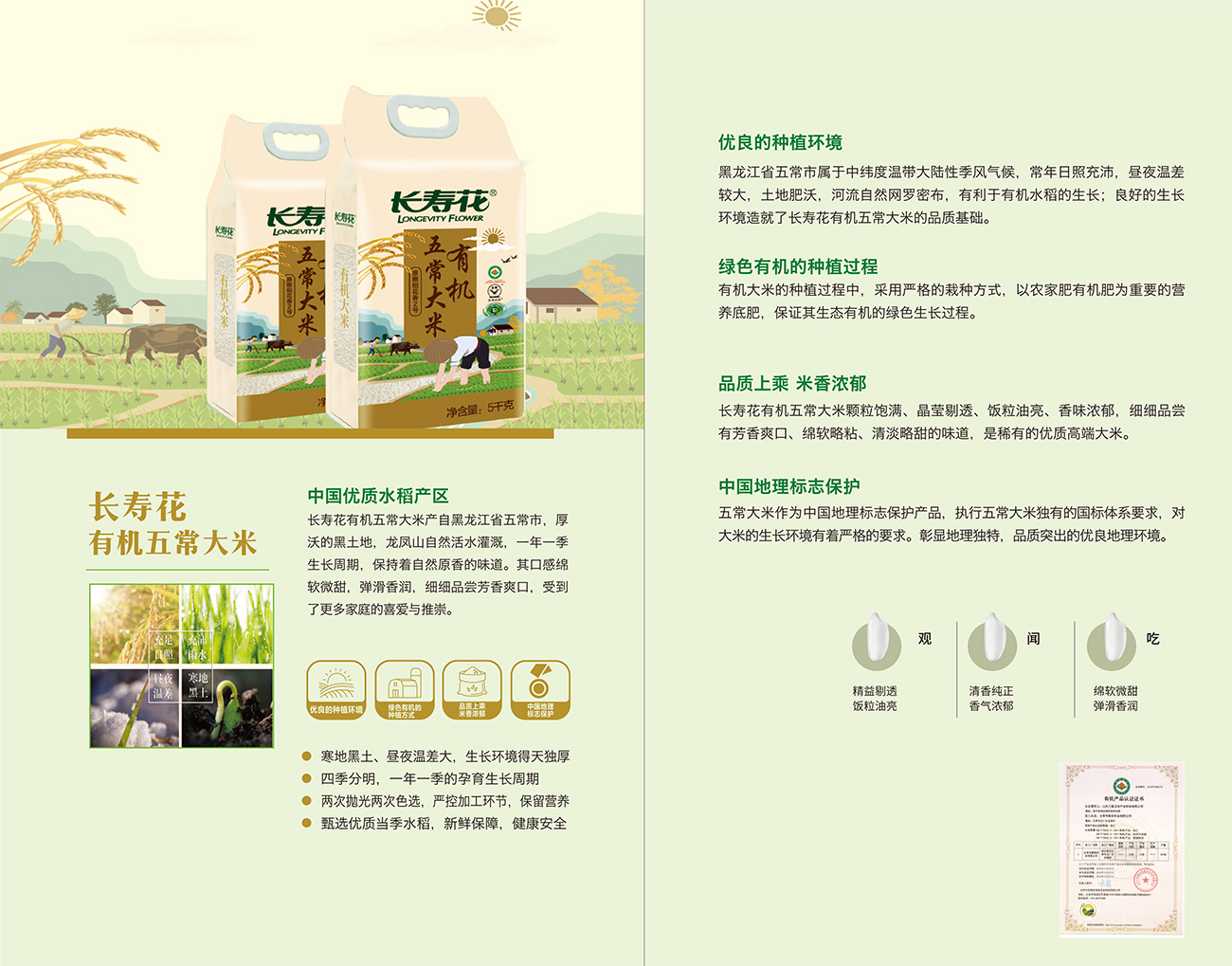 首页| 今年会·jnh中国官方网站