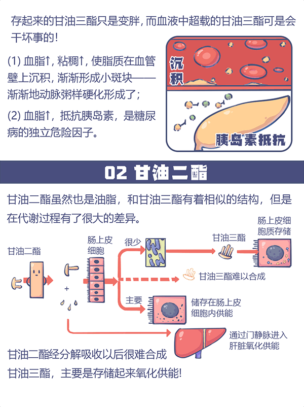 首页| 今年会·jnh中国官方网站