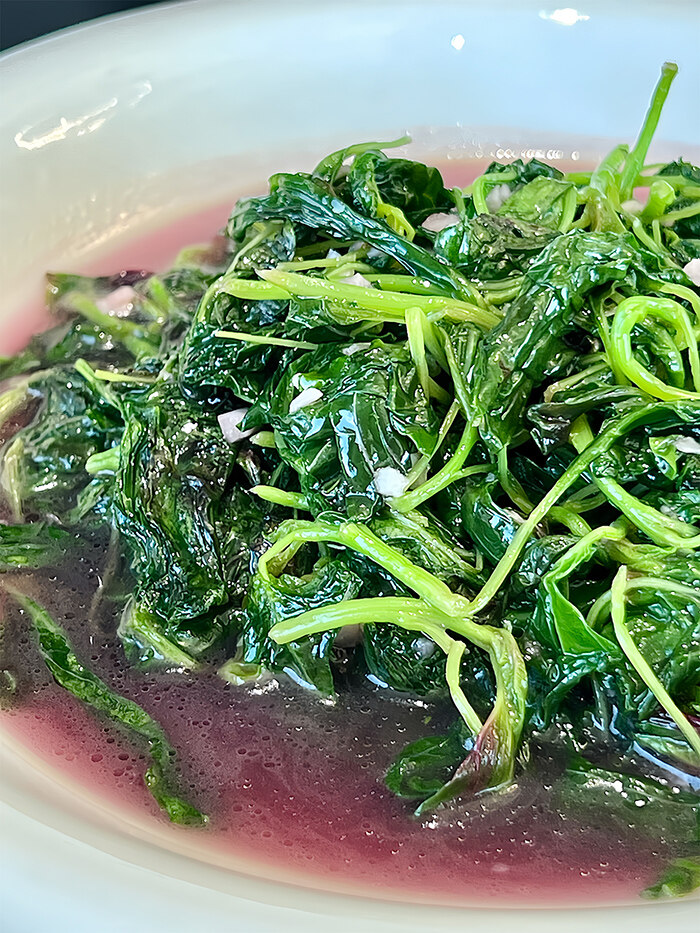 首页| 今年会·jnh中国官方网站