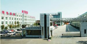 首页| 今年会·jnh中国官方网站