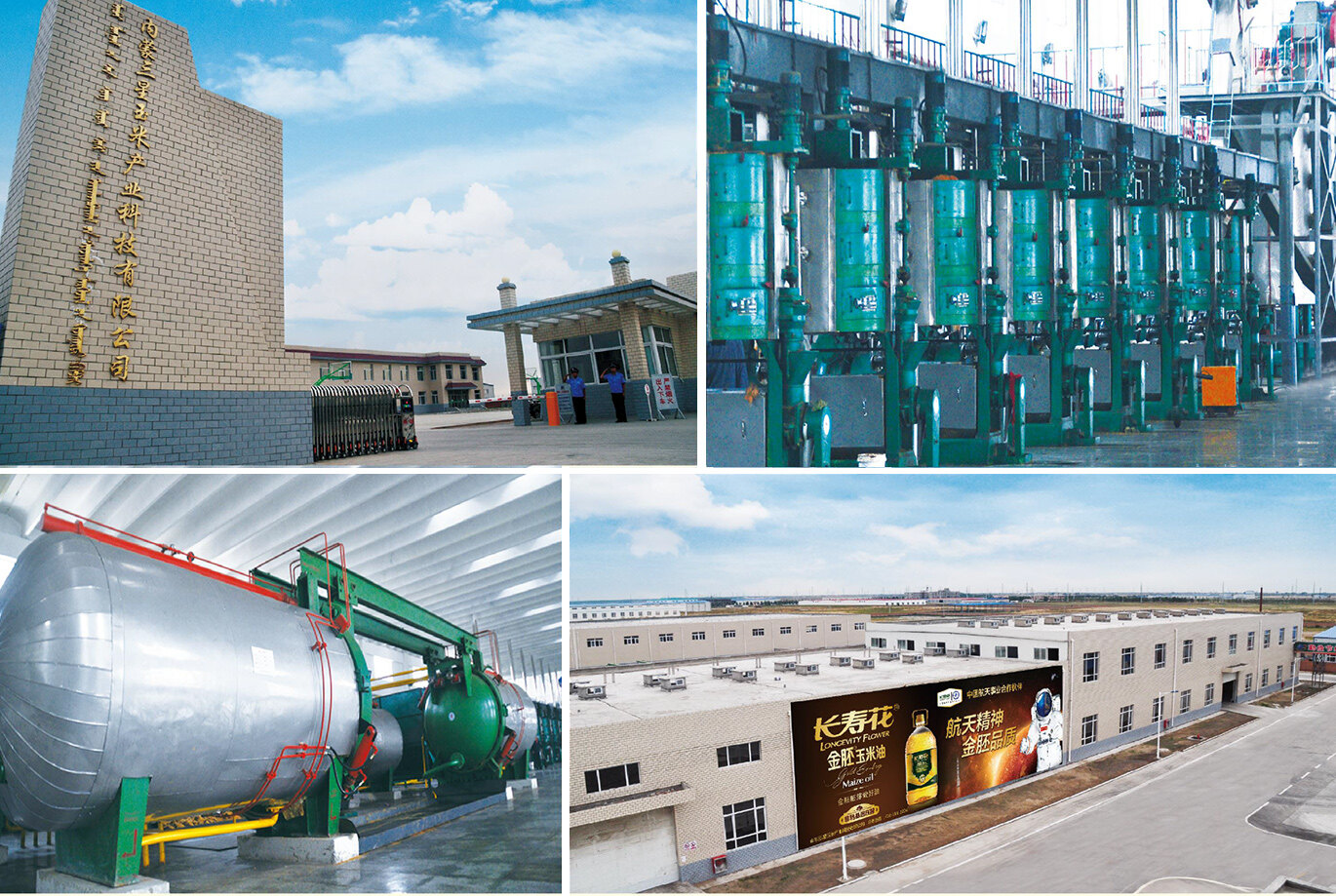 首页| 今年会·jnh中国官方网站