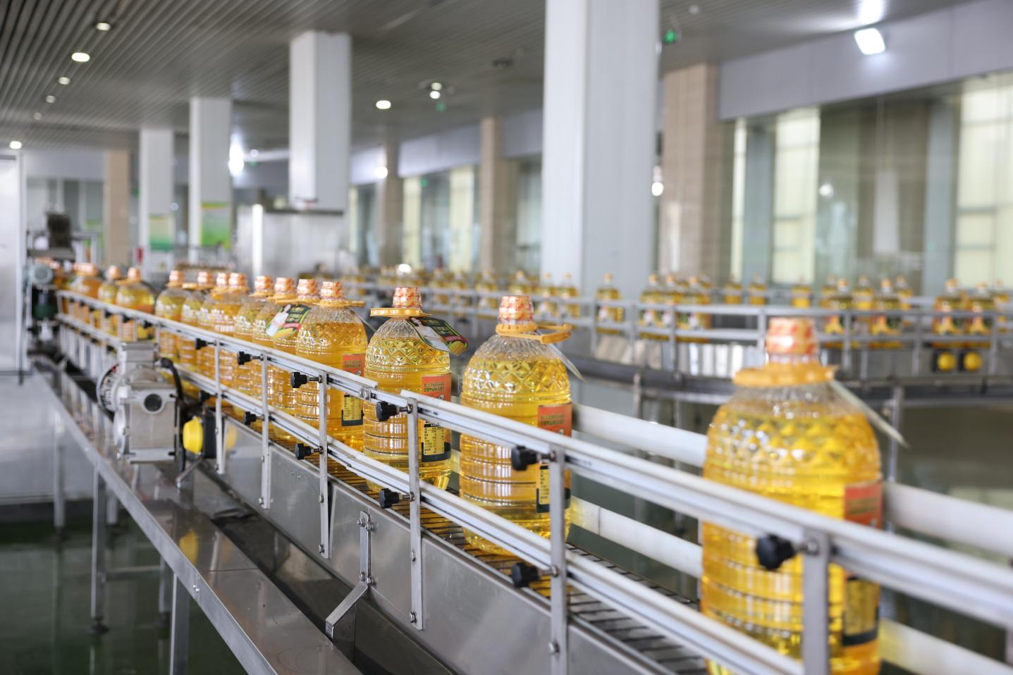 首页| 今年会·jnh中国官方网站