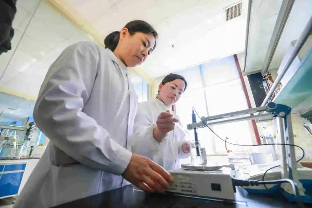 首页| 今年会·jnh中国官方网站