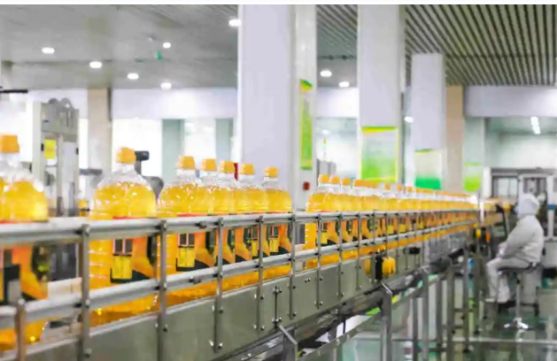 【转自学习强国】共绘祖国海岸线｜山东滨州邹平市：让玉米金胚芽长出兴旺的“长寿之花”