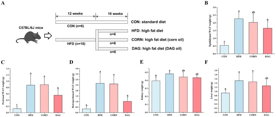 首页| 今年会·jnh中国官方网站
