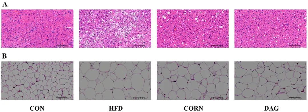首页| 今年会·jnh中国官方网站