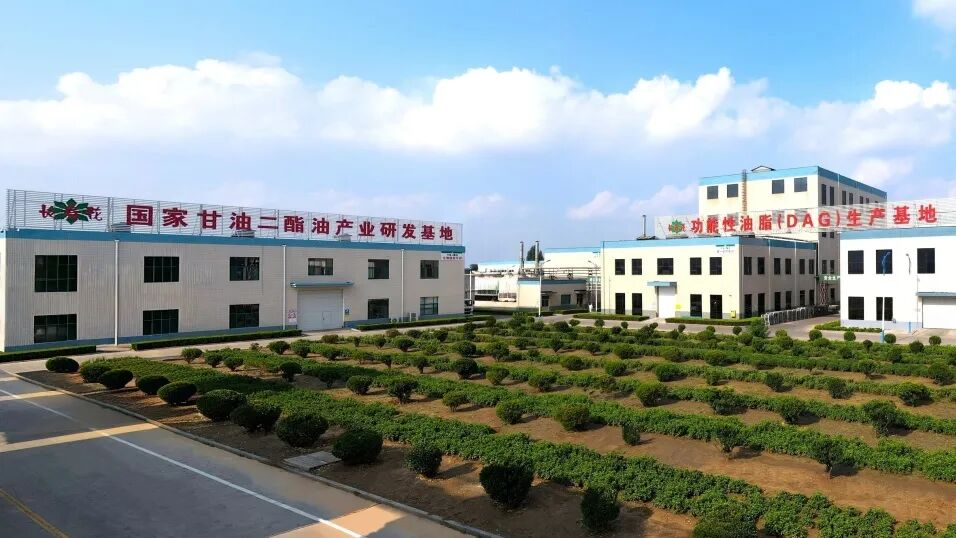 首页| 今年会·jnh中国官方网站