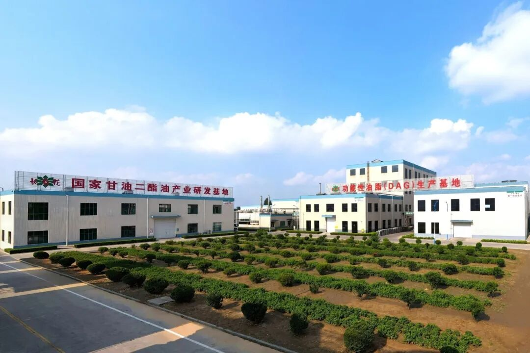 首页| 今年会·jnh中国官方网站