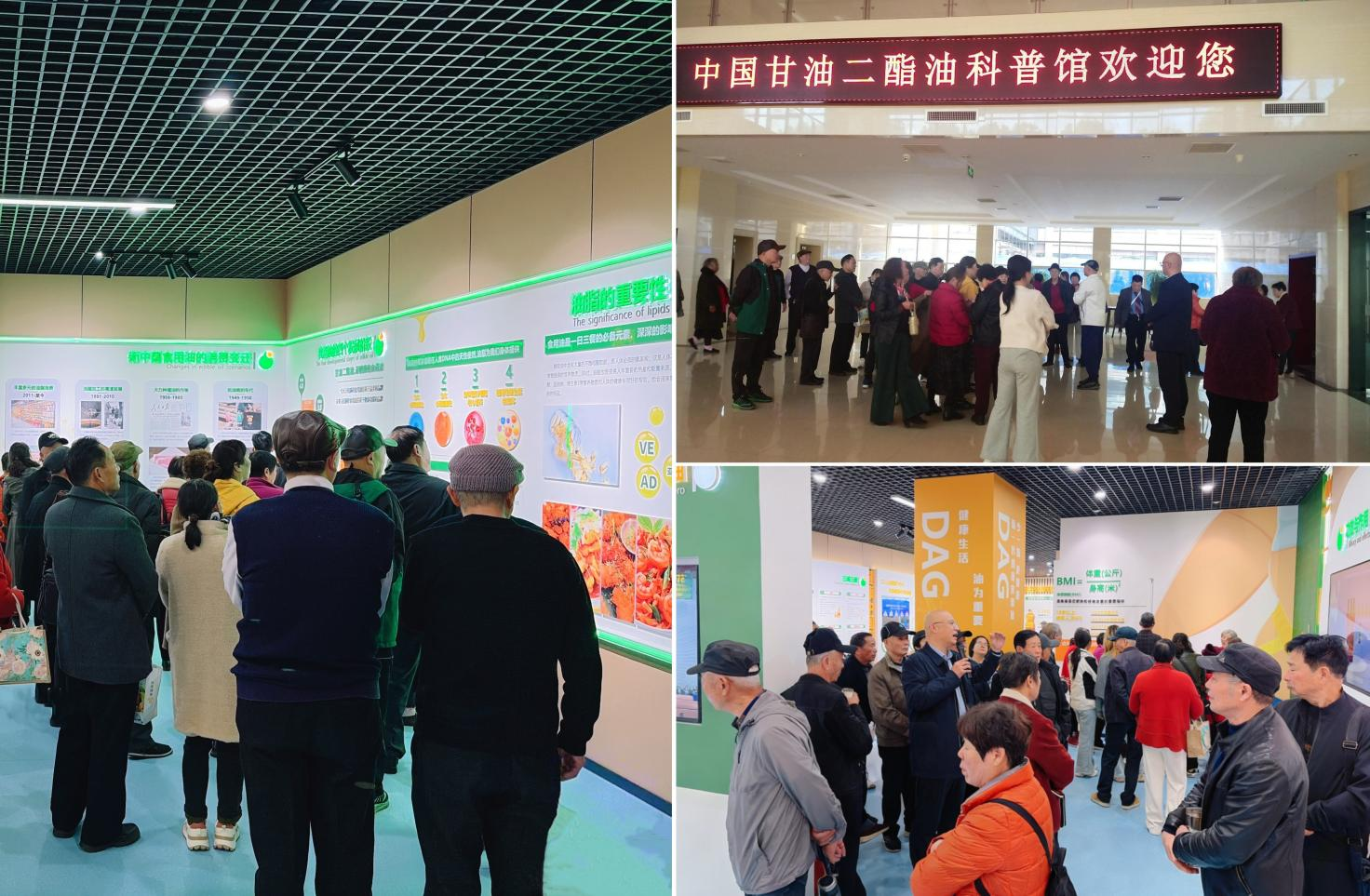 首页| 今年会·jnh中国官方网站