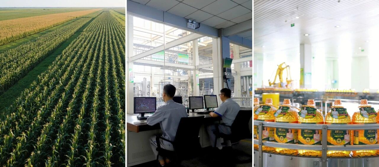 首页| 今年会·jnh中国官方网站