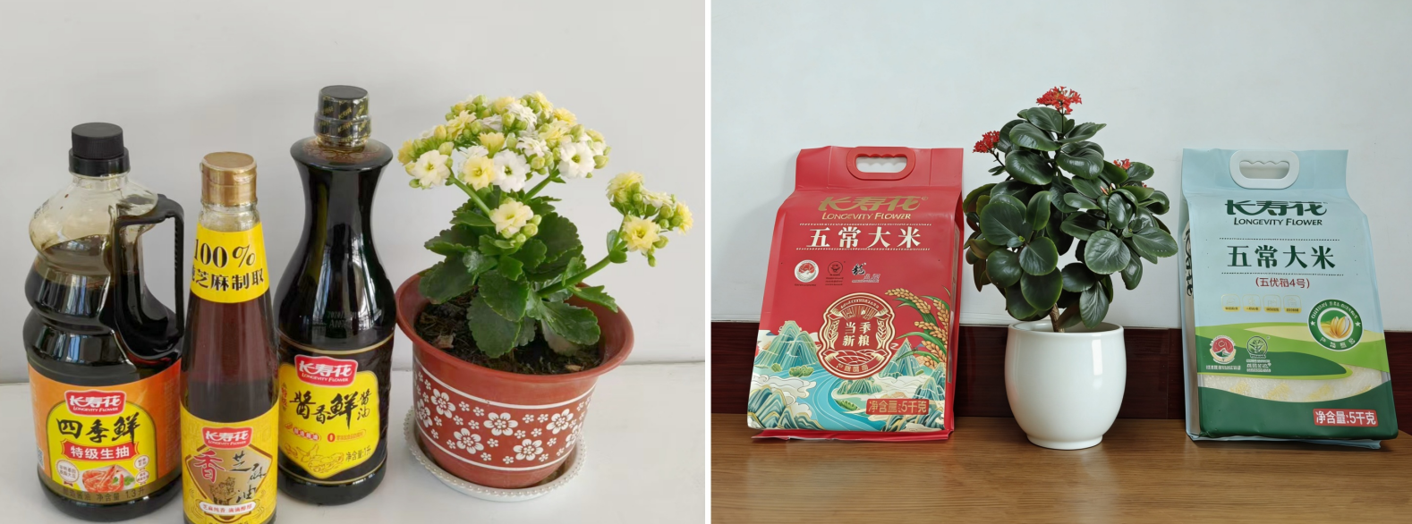 首页| 今年会·jnh中国官方网站