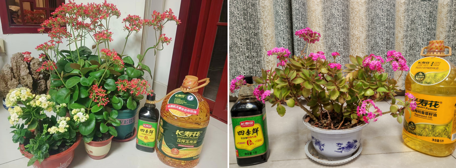 首页| 今年会·jnh中国官方网站