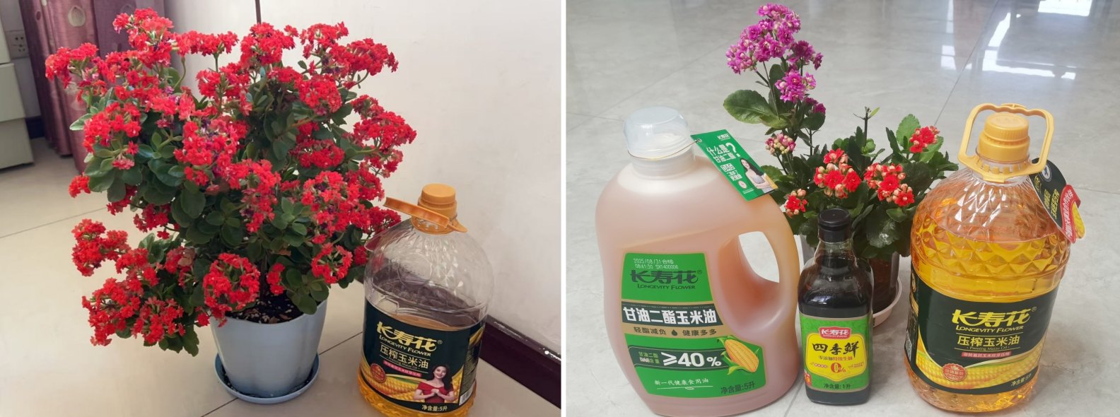 首页| 今年会·jnh中国官方网站