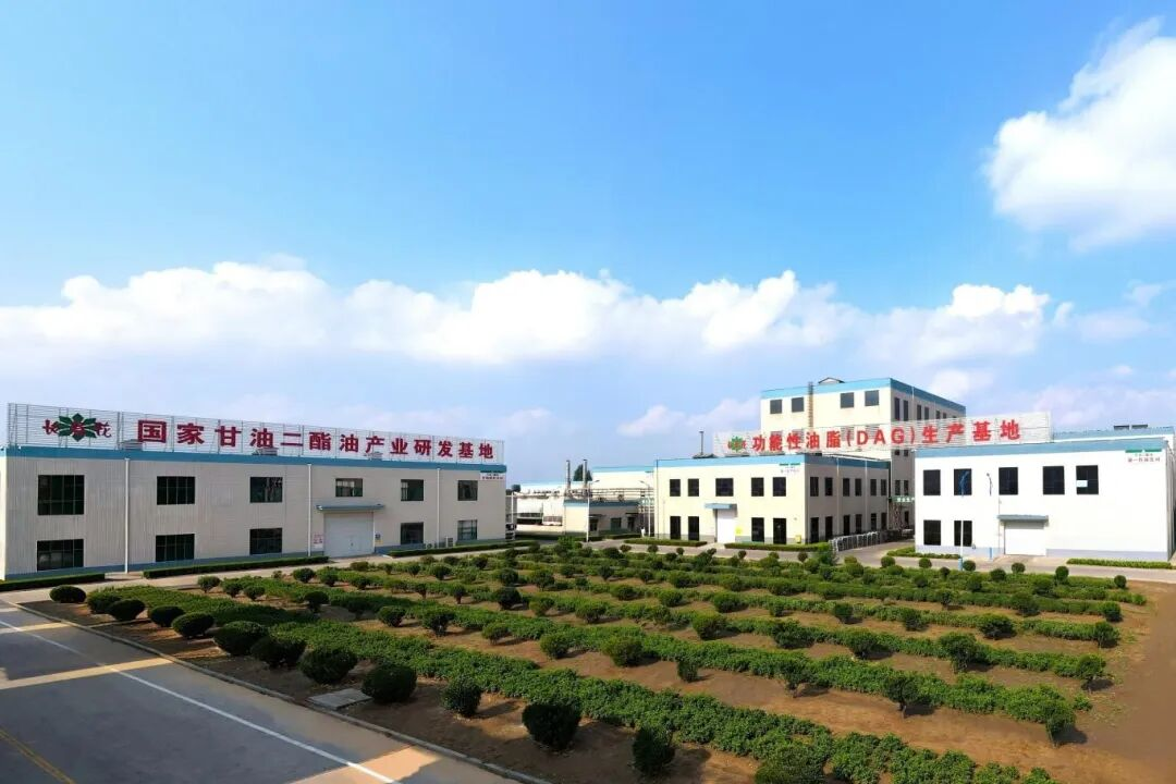 首页| 今年会·jnh中国官方网站