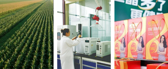 首页| 今年会·jnh中国官方网站