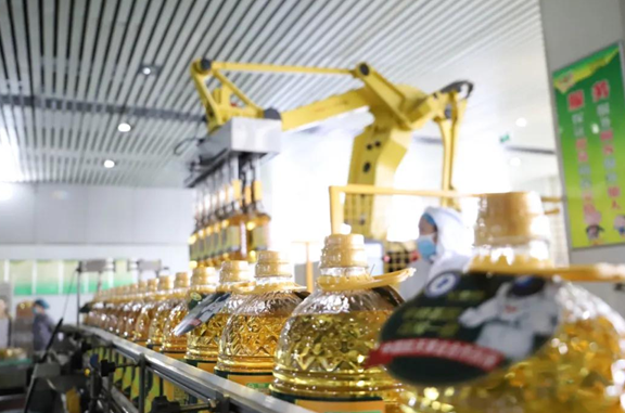 首页| 今年会·jnh中国官方网站