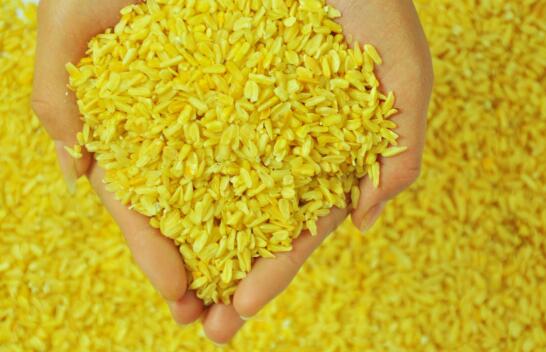 首页| 今年会·jnh中国官方网站