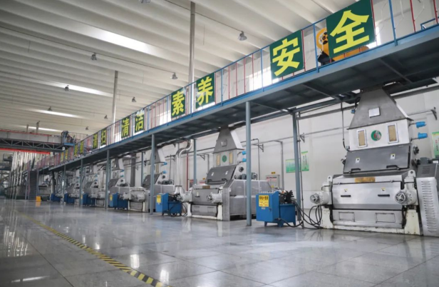 首页| 今年会·jnh中国官方网站