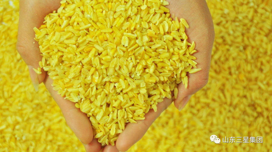 首页| 今年会·jnh中国官方网站