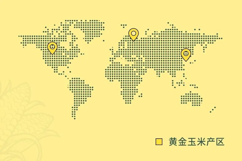 首页| 今年会·jnh中国官方网站