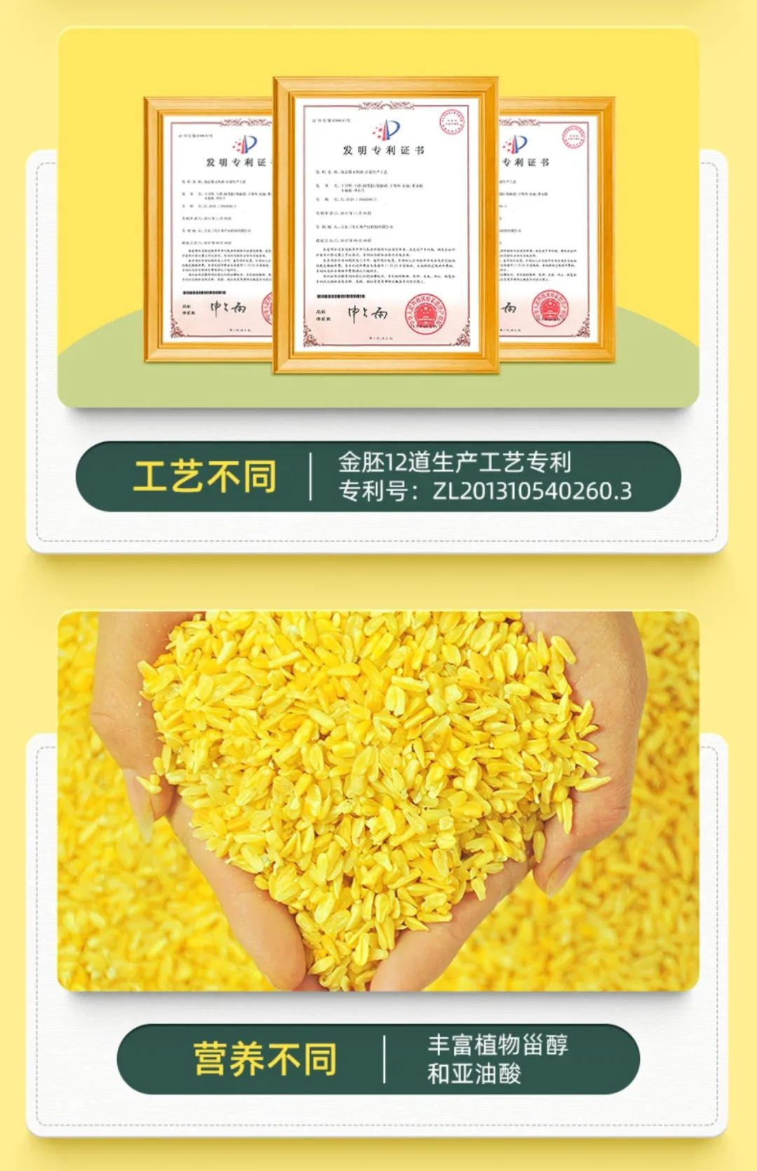 首页| 今年会·jnh中国官方网站