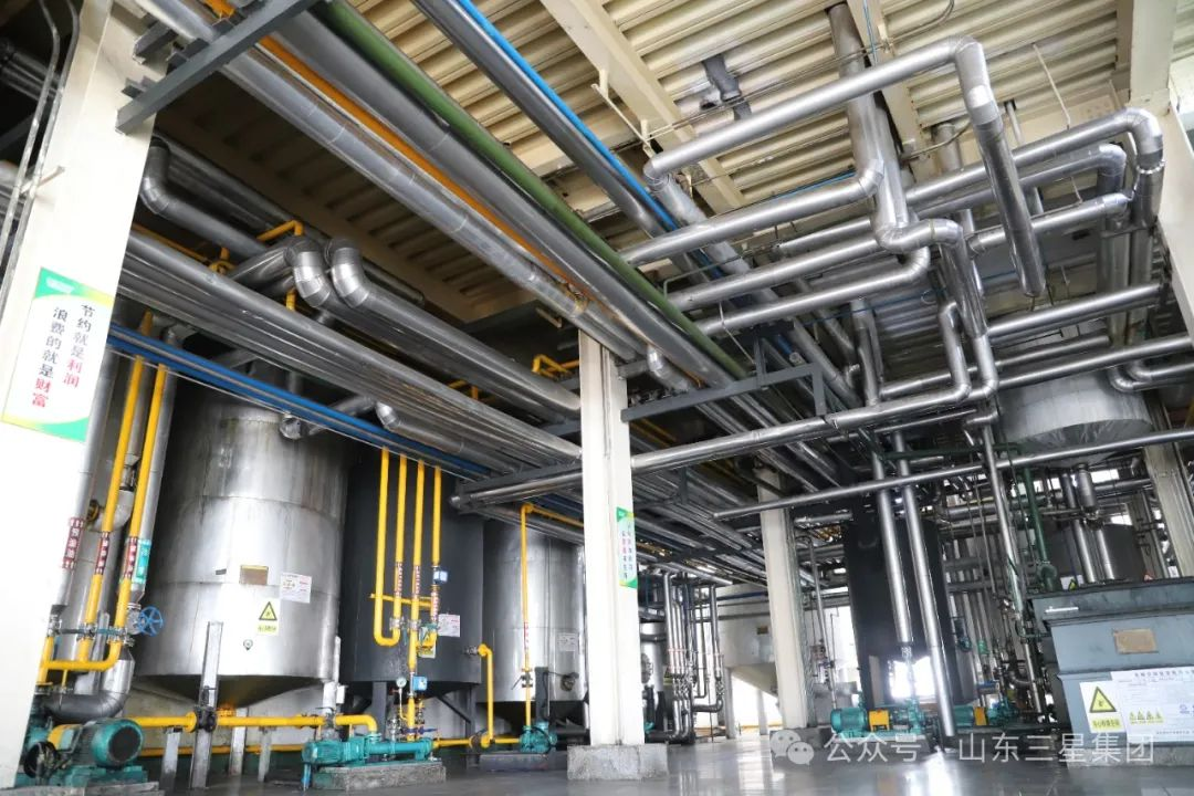 首页| 今年会·jnh中国官方网站