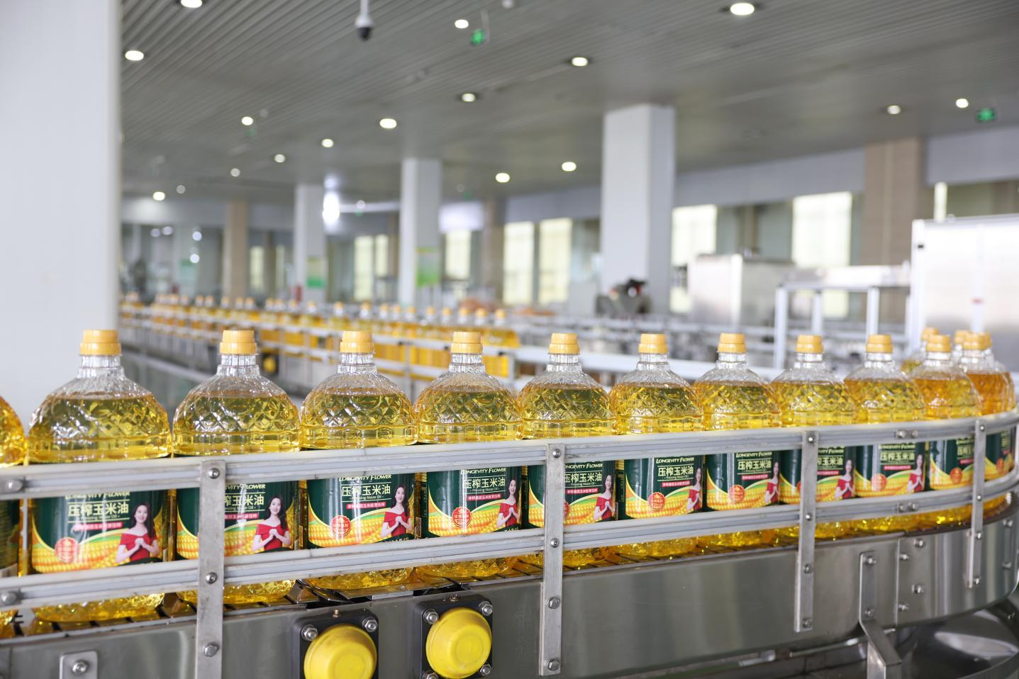 首页| 今年会·jnh中国官方网站